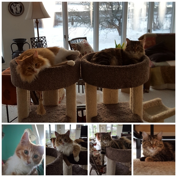 Meet your Posher - Picture 2 of 5